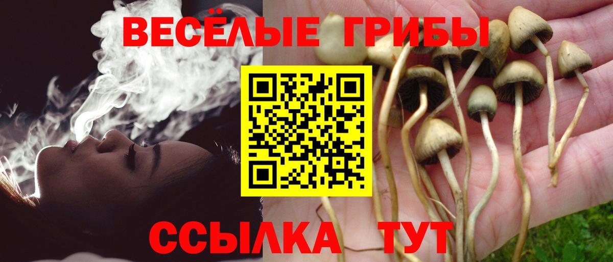 Псилоцибиновые грибы мицелий  Вход с VPN  Джанкой 