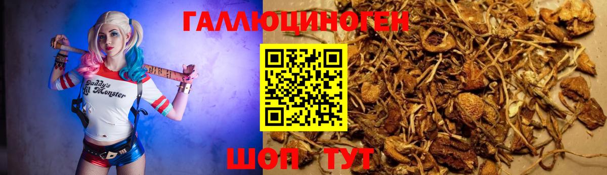 Псилоцибиновые грибы Magic Shrooms Джанкой